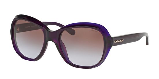 Picture of Coach HC8197F Sunglasses