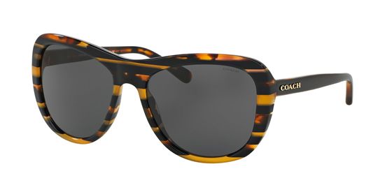Picture of Coach HC8202 L1629 Sunglasses
