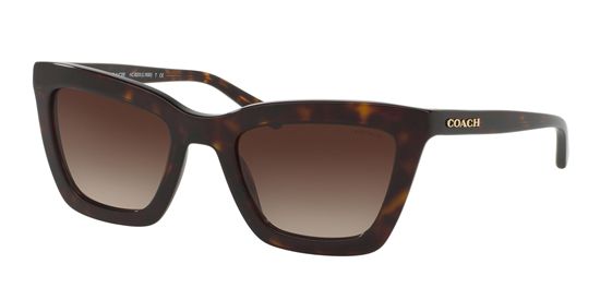 Picture of Coach HC8203F Sunglasses