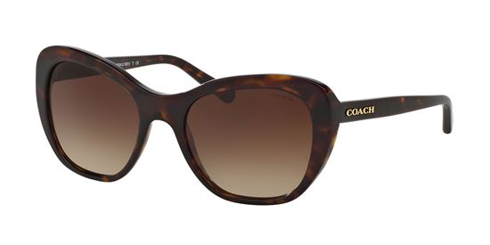 Picture of Coach HC8204 L1631 Sunglasses