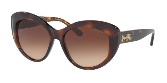 Picture of Coach HC8206 L1633 Sunglasses