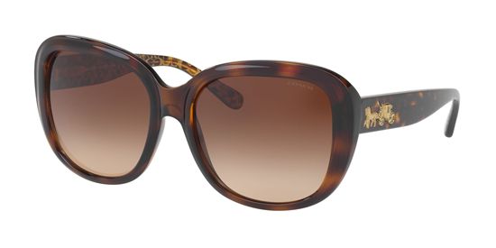 Picture of Coach HC8207F L1645 Sunglasses
