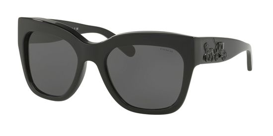 Picture of Coach HC8213 L1649 Sunglasses