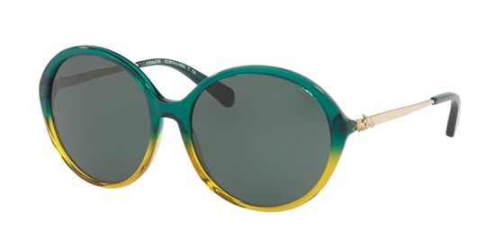 Picture of Coach HC8214 L1650 Sunglasses