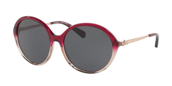 Picture of Coach HC8214F Sunglasses