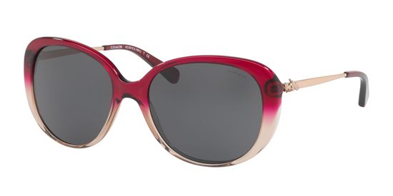 Picture of Coach HC8215 L1651 Sunglasses