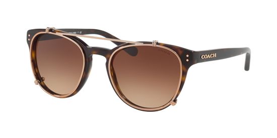 Picture of Coach HC8216 L1652 Sunglasses