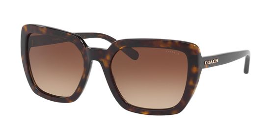 Picture of Coach HC8217 L1654 Sunglasses