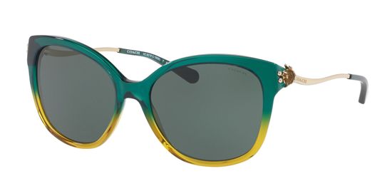 Picture of Coach HC8218 L1655 Sunglasses