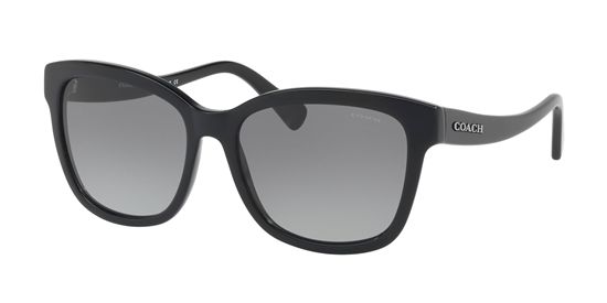 Picture of Coach HC8219F Sunglasses