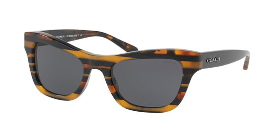 Picture of Coach HC8223 L1653 Sunglasses