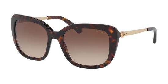 Picture of Coach HC8229F L1005 Sunglasses