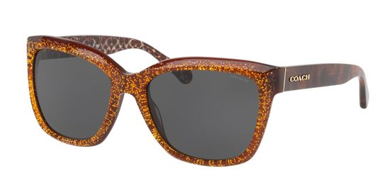 Picture of Coach HC8230F L1007 Sunglasses