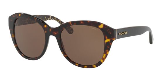 Picture of Coach HC8231F L1009 Sunglasses