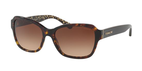 Picture of Coach HC8232F L1011 Sunglasses