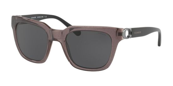 Picture of Coach HC8240F L1029 Sunglasses