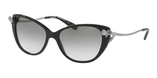 Picture of Coach HC8242B L1021 Sunglasses
