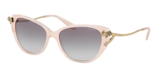 Picture of Coach HC8242BF L1022 Sunglasses