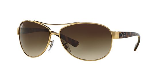 Picture of Ray Ban RB3386 Sunglasses