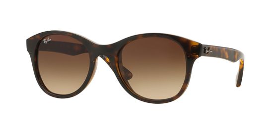 Picture of Ray Ban RB4203 Sunglasses