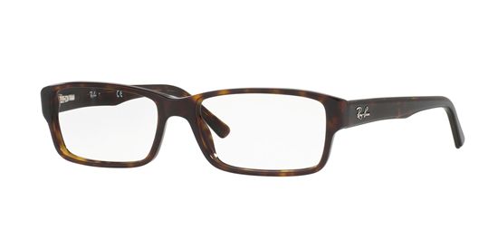 Picture of Ray Ban RX5169 Eyeglasses