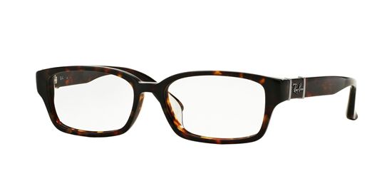 Picture of Ray Ban RX5198 Eyeglasses