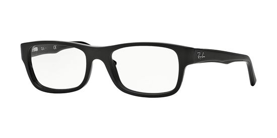 Picture of Ray Ban RX5268 Eyeglasses