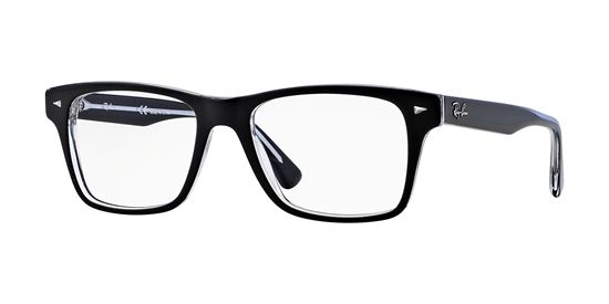 Picture of Ray Ban RX5308 Eyeglasses