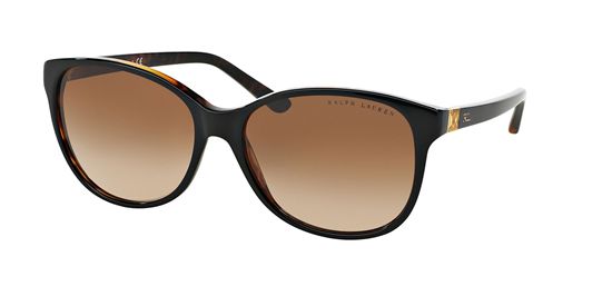 Picture of Ralph Lauren RL8116 DECO EVOLUTION Sunglasses